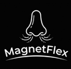 Magnetflex - Inicio